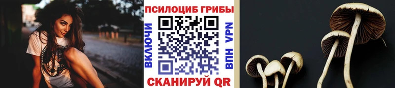 Галлюциногенные грибы Magic Shrooms  Онега 
